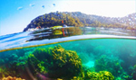 PP Maya Bamboo Island by Speed Boat